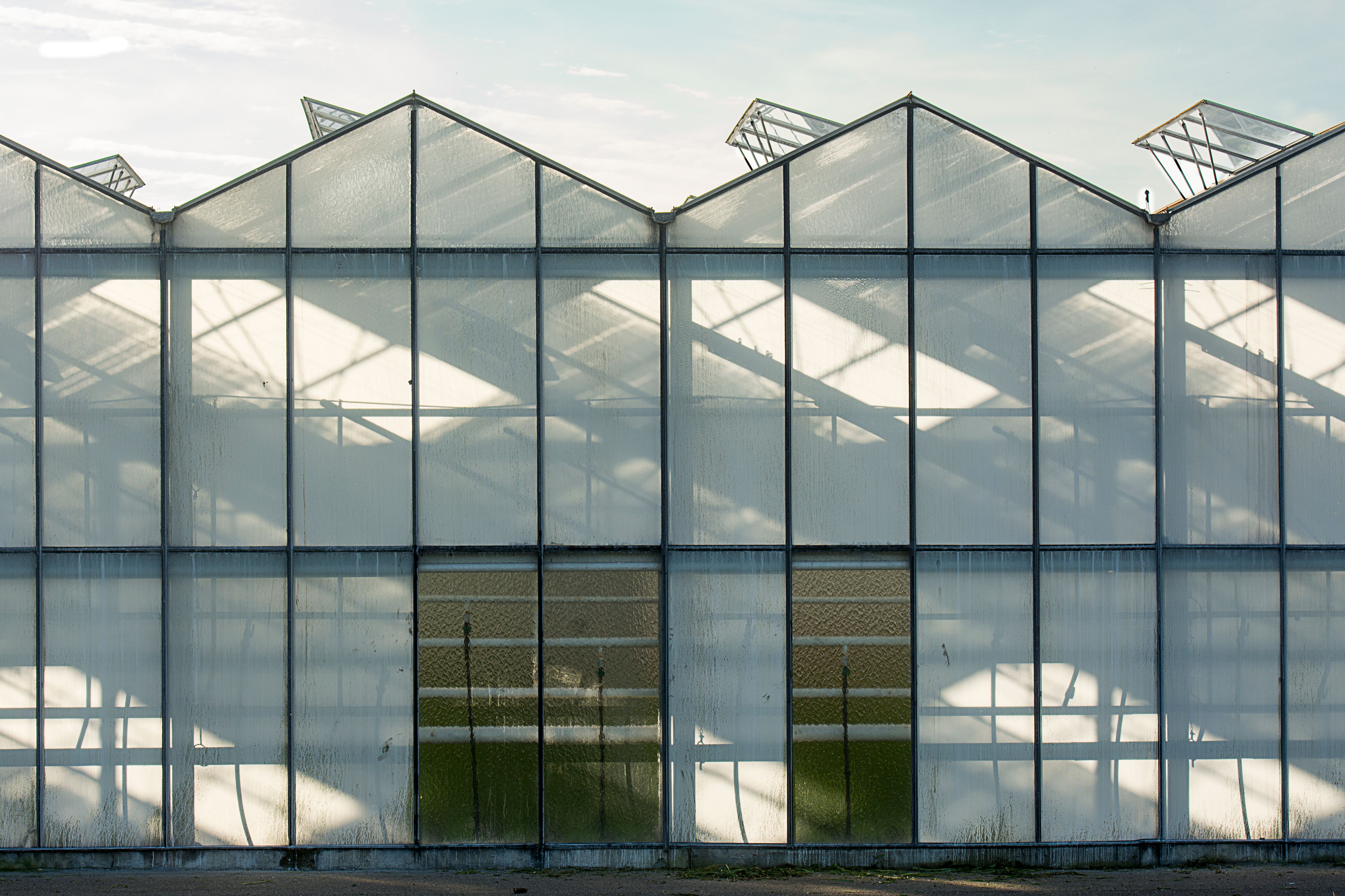Glass greenhouse exterior with shadows and sunlight creating patterns on the structure.