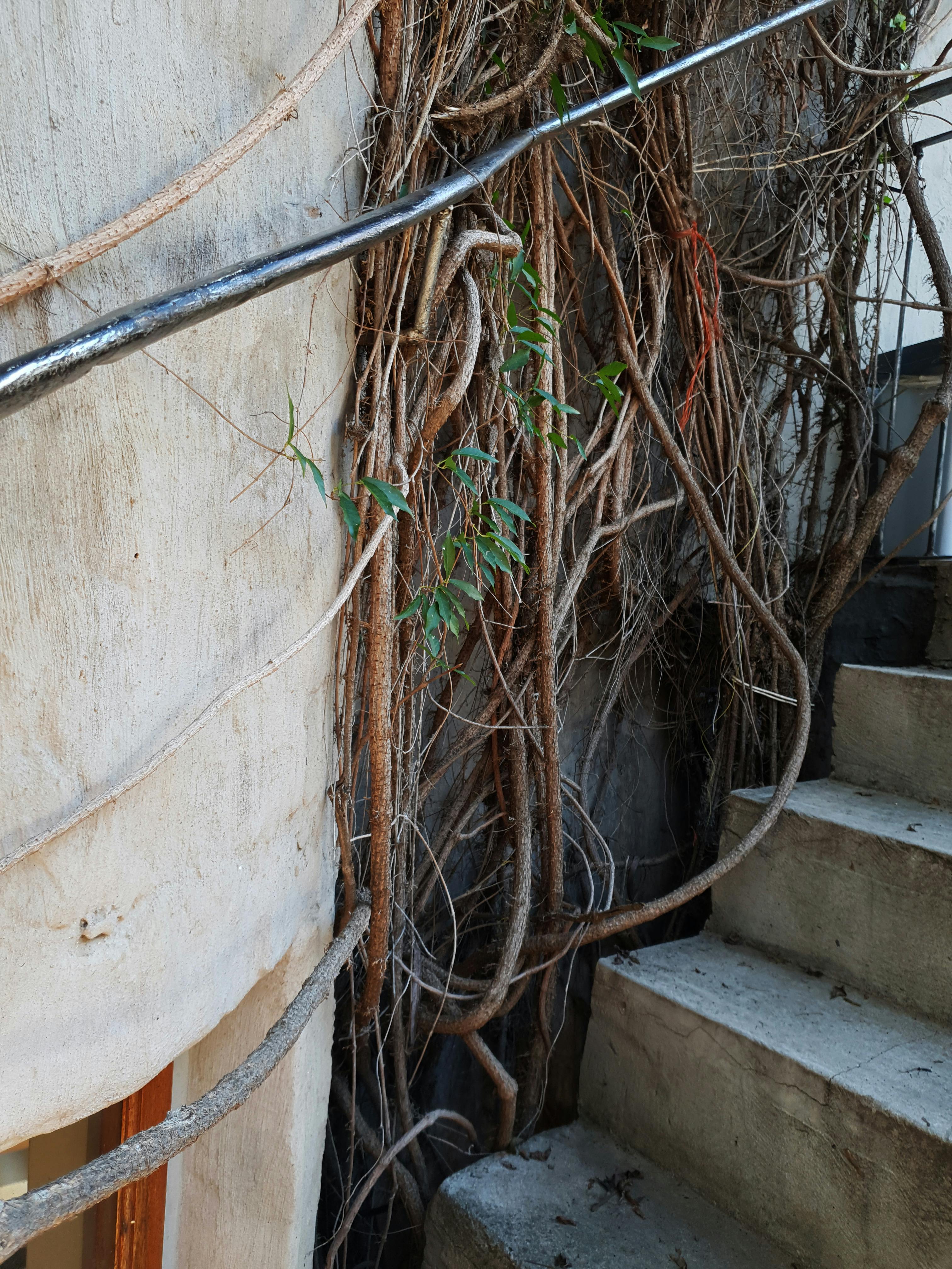 Free stock photo of african, chandeliers, lanterns