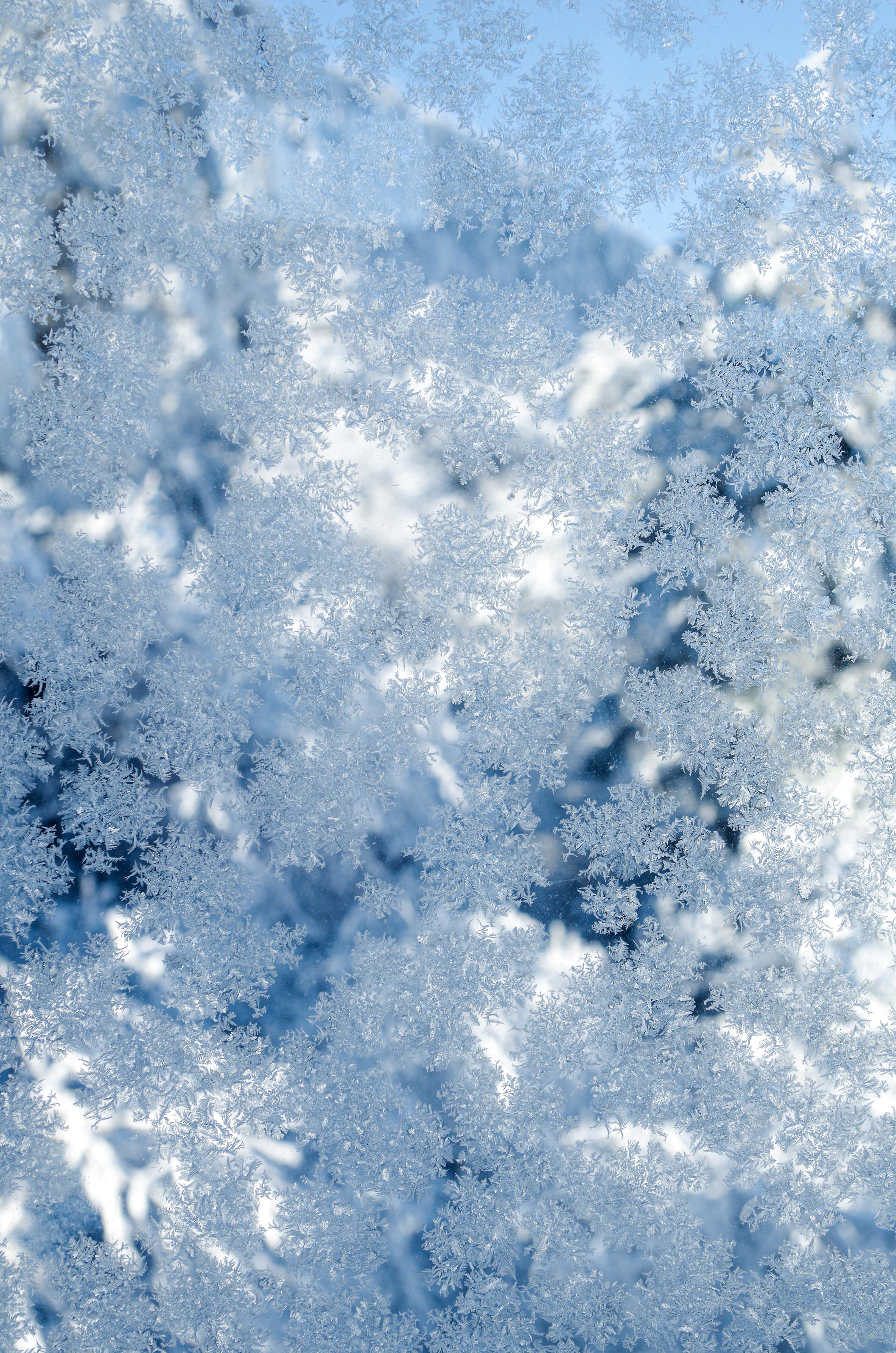 Stunning macro capture of delicate snowflakes on a cold winter day.