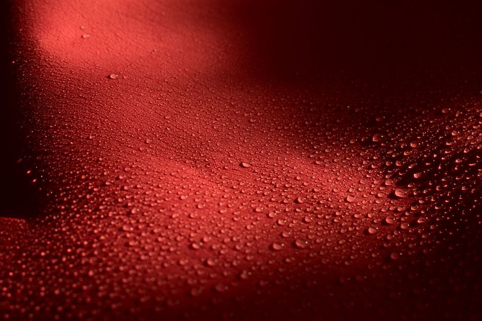 Harvard Biomimetic Material Harvests 120% More Water from Fog than Existing Designs
