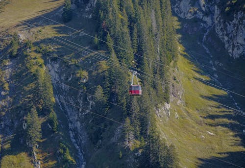 Red Cable Car over Green Trees