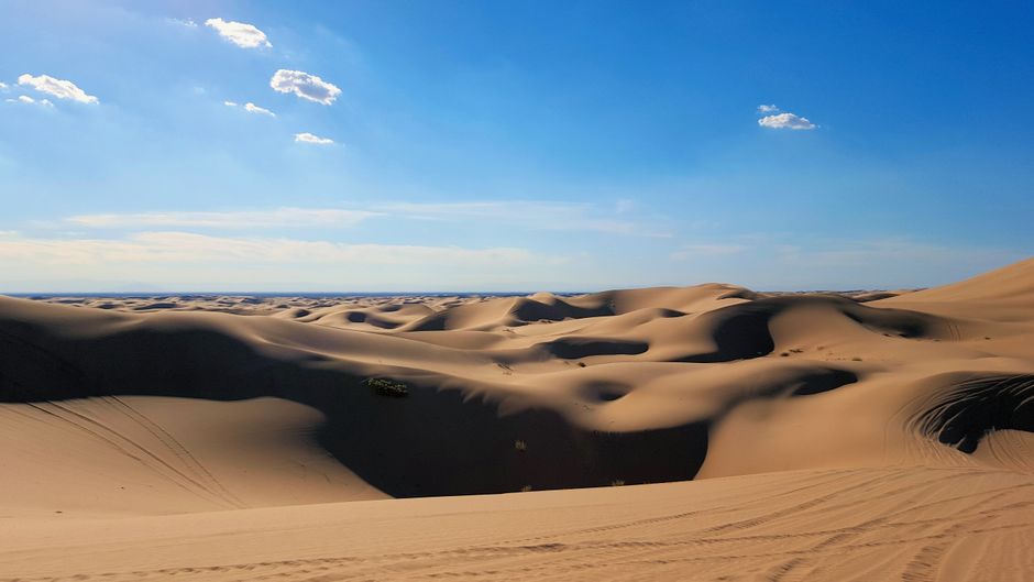 Fotomural Dunas de arena expansivas se extienden bajo un cielo azul claro, mostrando la belleza de los paisajes áridos.