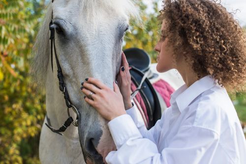 Free A woman gently caressing a white horse, emphasizing companionship and equestrian care. Stock Photo