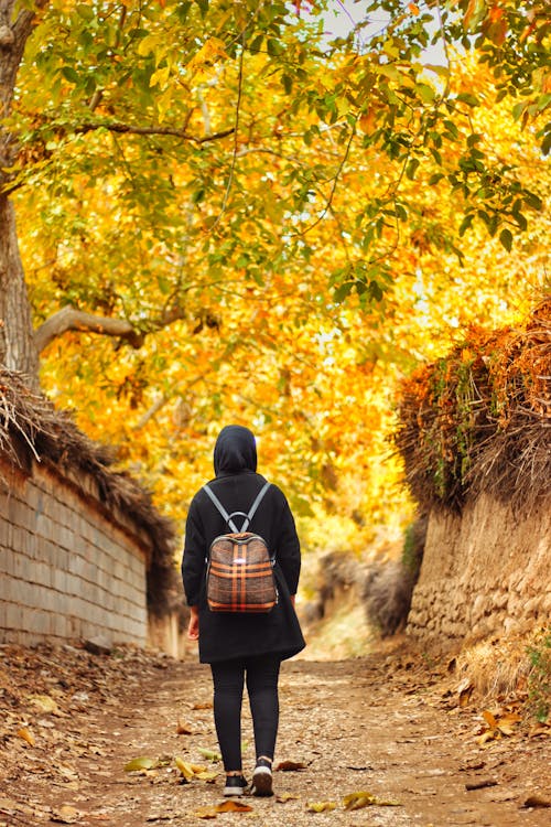 Free Backview of Person walking on an Unpaved Pathway  Stock Photo