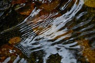 Close Up Shot of Water in the River