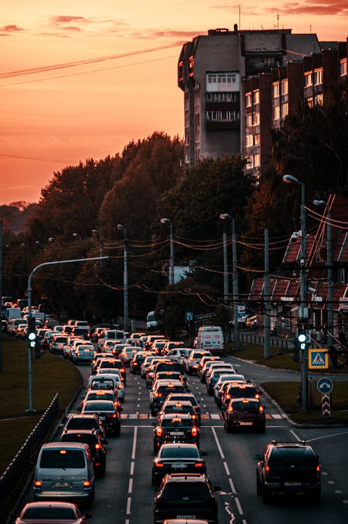 Vehicles on Road During Sunset