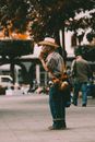 An Elderly Man Making Music on the Street