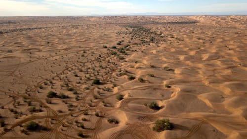 Free stock photo of dunes, duning, glamis Stock Photo
