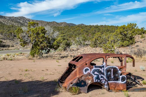 An Abandoned Car Near Green Trees