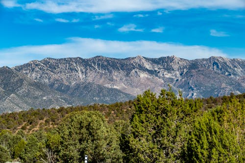 Trees and Mountains Under Blue Sky