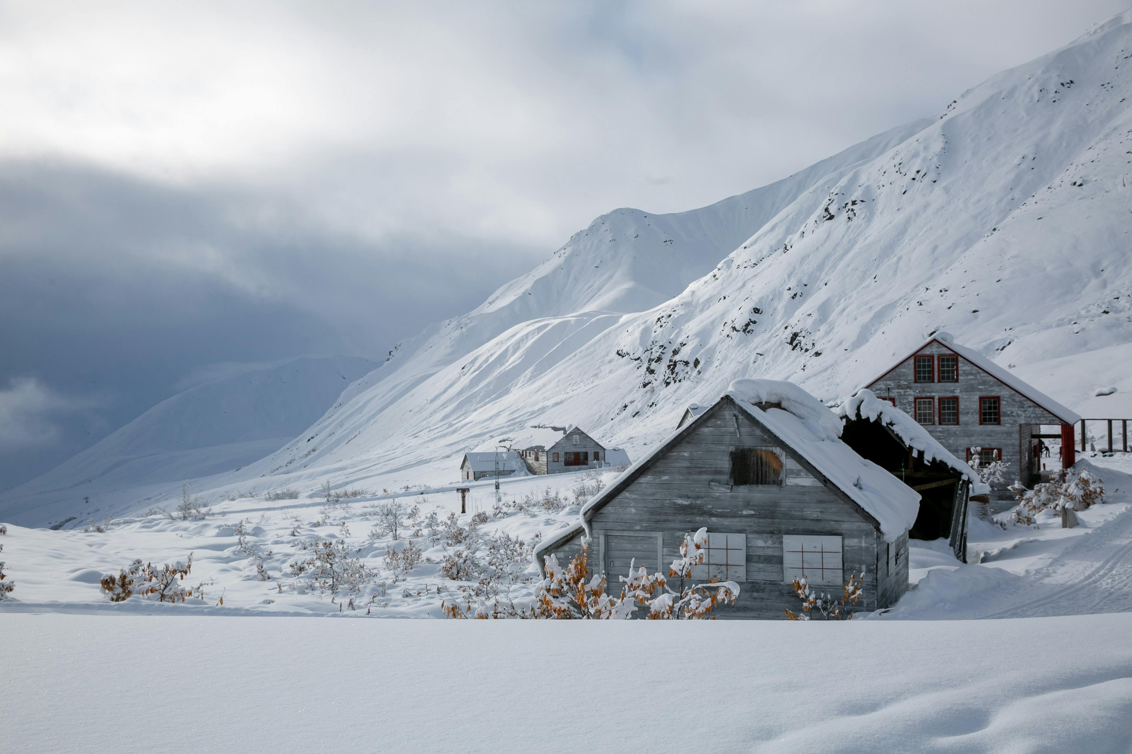 Alaska attorneys to provide free legal help on MLK Day holiday — Photo by Josh Meeder on Pexels