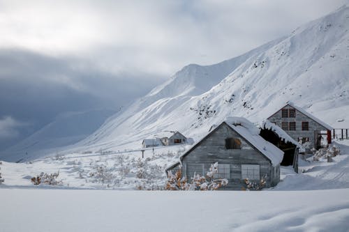 Gratuit Imagine de stoc gratuită din acoperit de zăpadă, anotimp, case Fotografie de stoc