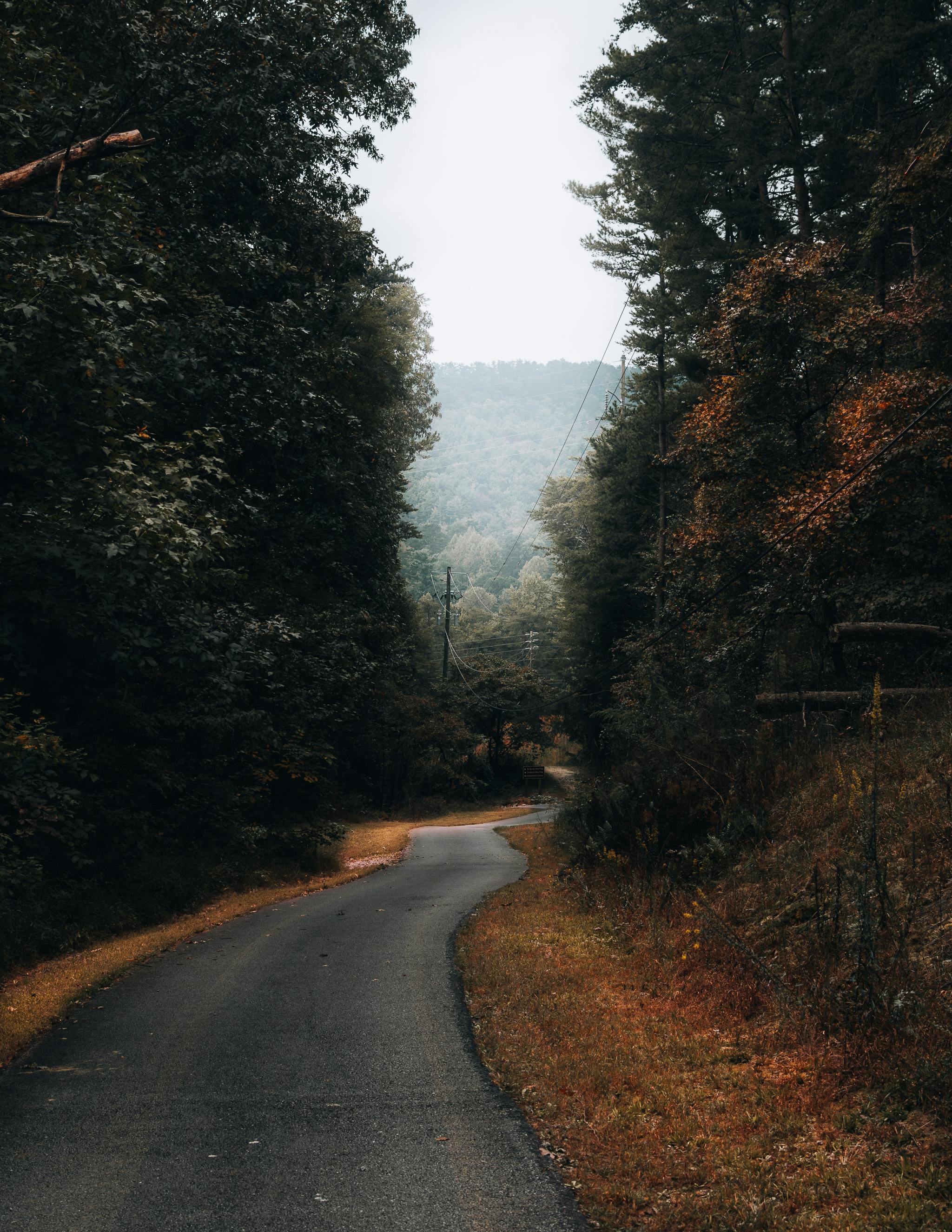 A quiet, winding road surrounded by autumn trees in a serene countryside setting.