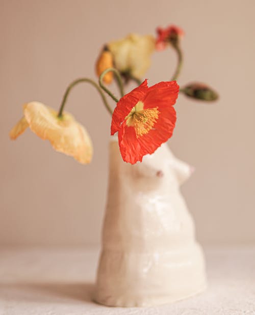 Fotos de stock gratuitas de de cerca, florero, flores