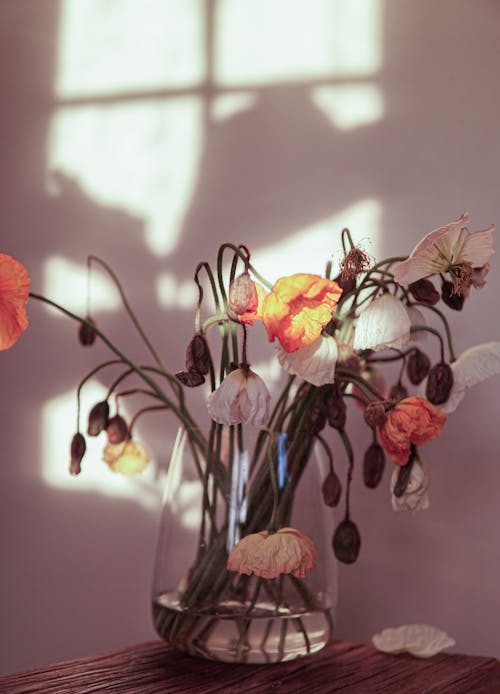 cam vazo, Çiçek açmak, Çiçek tomurcukları içeren Ücretsiz stok fotoğraf