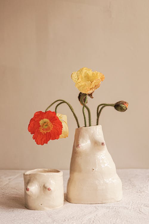 Bunch of Dry Poppies in Vase