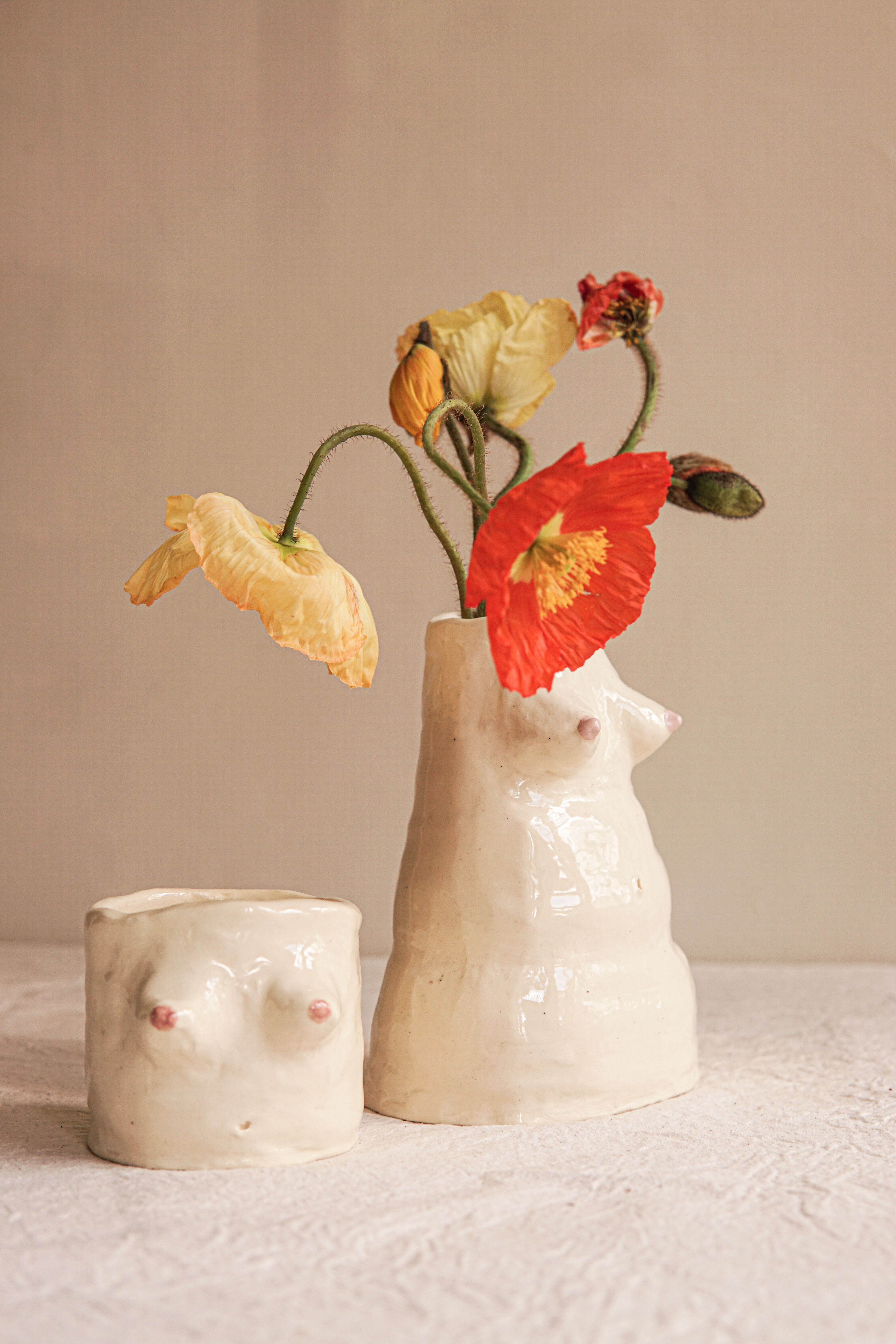 Mirena bud vase with dried poppies in studio light