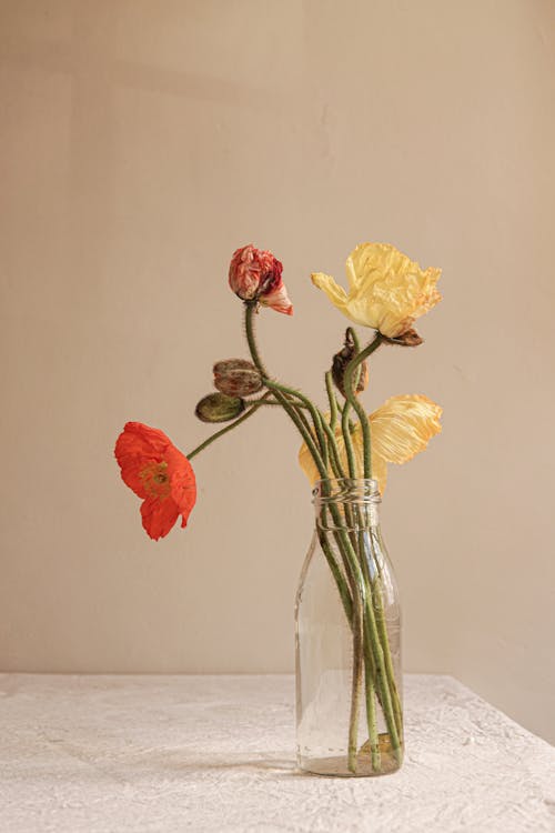 Yellow and Red Poppies in Clear Glass Vase