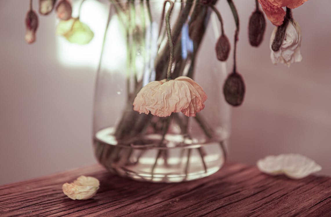 Dried Flowers in a Vase with Water