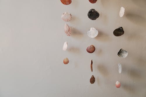 Free Close-up Photo of Hanging Seashells  Stock Photo