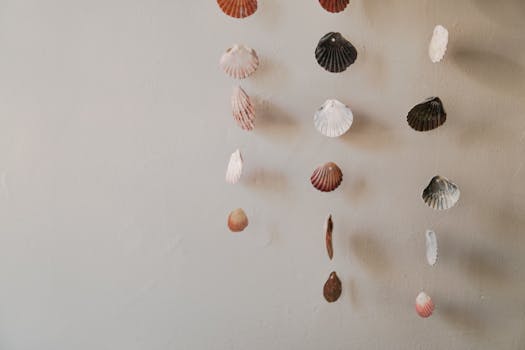 Artistic composition of hanging seashells creating a minimalist decor vibe.
