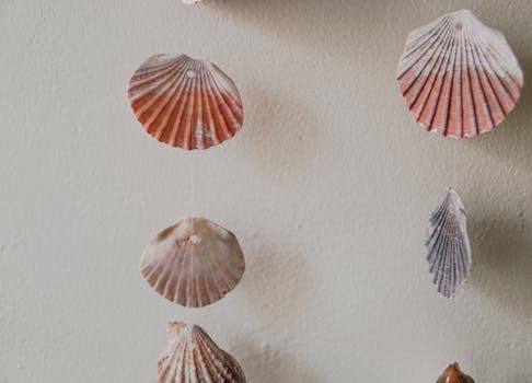 Close-up of decorative scallop seashells artistically hanging against a wall.