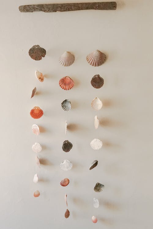 Free Close-up Photo of Hanging Seashells Stock Photo