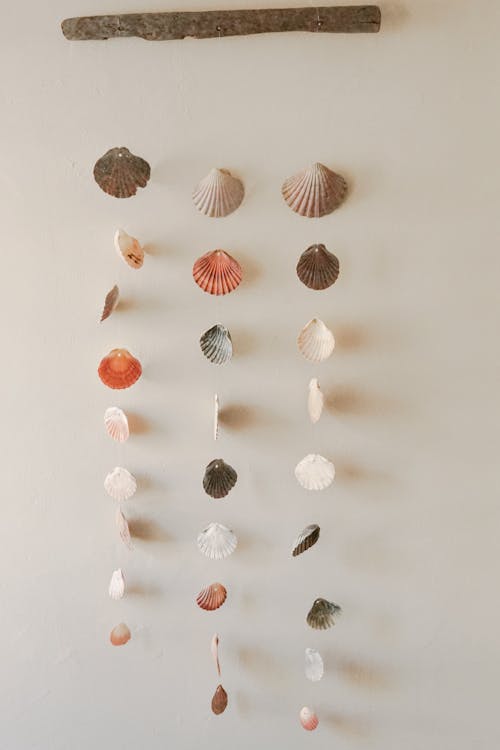 Close-up Photo of Hanging Seashells