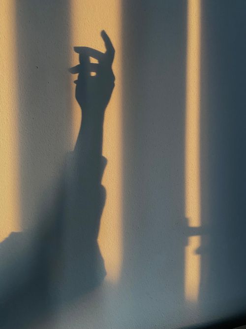 Free Creative shadow of a hand cast on a wall with warm lighting. Stock Photo