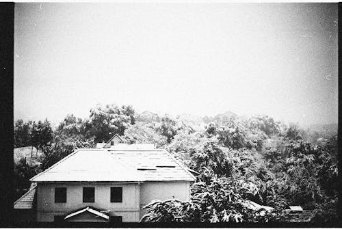 Grayscale Photo of a House Surrounded by Trees