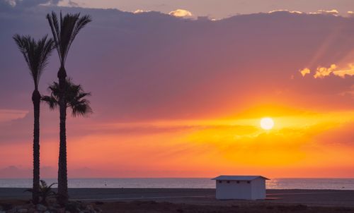 Free Beautiful sunset beach scene with palm trees and a golden sky over the ocean. Stock Photo