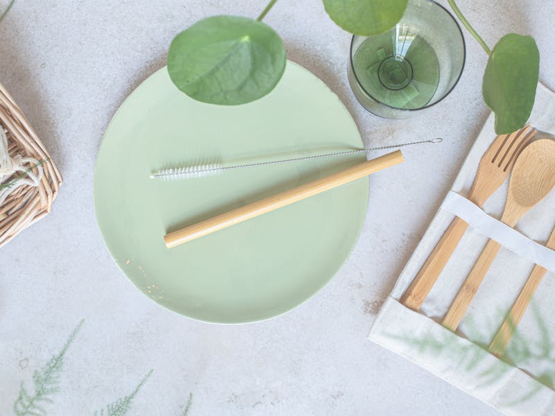 pexels-photo-9859315 Vie Zéro Polluant: La Pédiatre de Huningue Donne l'Exemple!