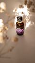 Clear Glass Bottle on White Table