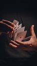 Person Holding White Printer Paper