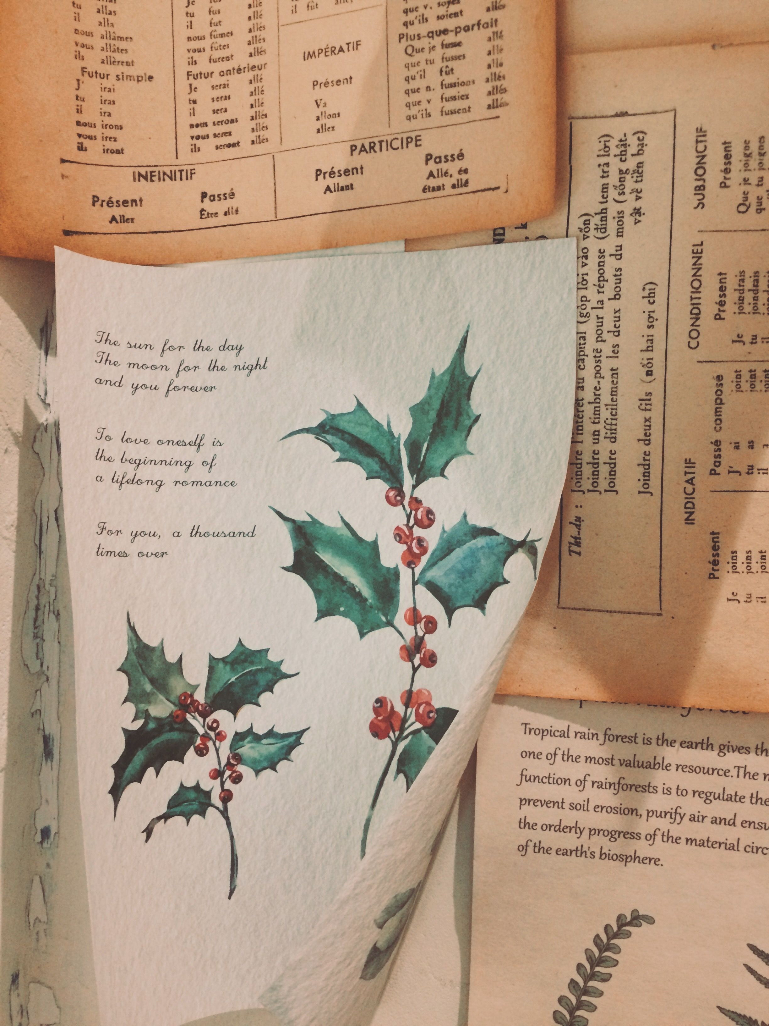 A vintage illustration of holly leaves and berries on aged paper, evoking a classic charm.. pexels, vintage, illustration