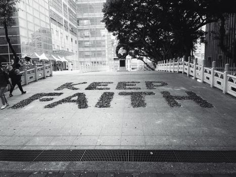 一碗热气腾腾、汤色奶白的鲫鱼豆腐汤，旁边配有米饭和青菜