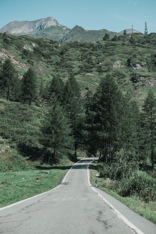 A Road on Countryside