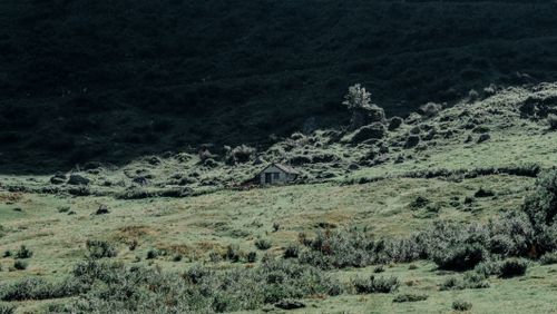 Free A solitary house nestled in a lush green valley, surrounded by serene nature and rolling hills. Stock Photo