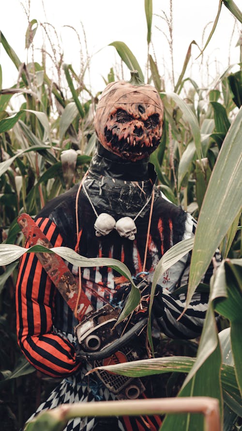 Spooky Scarecrow in the Corn Field 