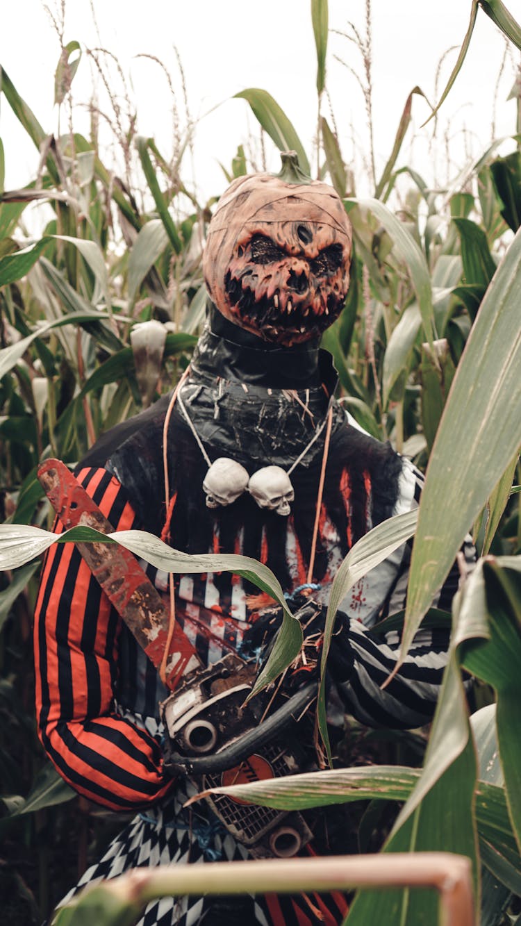 Spooky Scarecrow In The Corn Field 