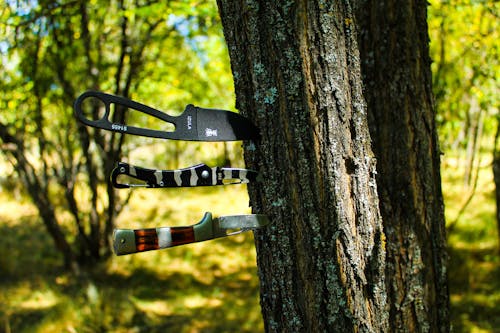 Knives on the Tree Trunk