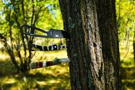 Knives on the Tree Trunk