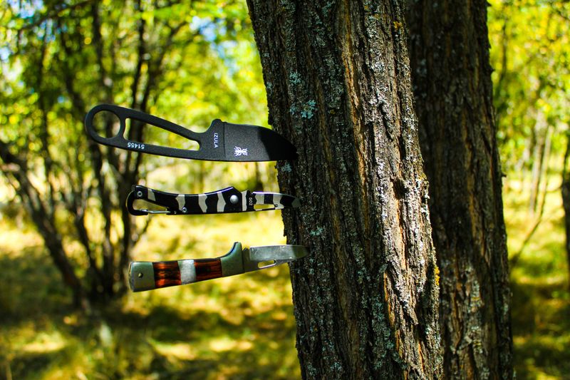 Close-up of three knives embedded in a tree trunk in a sunlit forest setting.