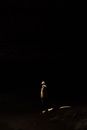 Person in Black Jacket Walking on the Street during Night Time