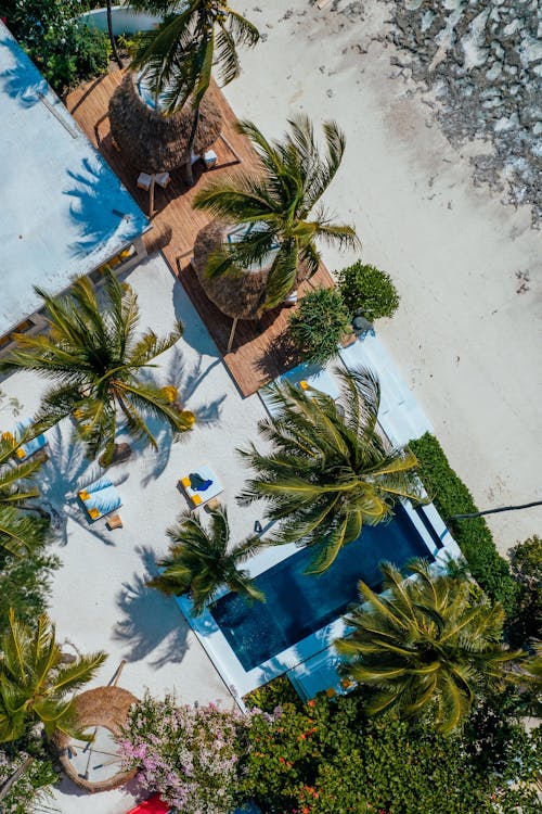 Photos gratuites de directement au-dessus, été, lumière du soleil