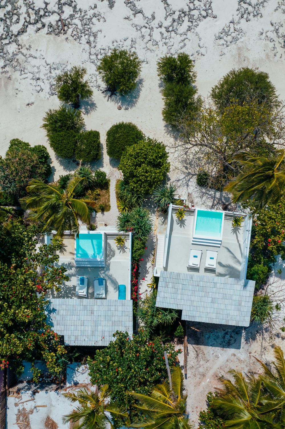 Vista aérea de villas privadas con piscina entre palmeras y arena blanca en Zanzíbar