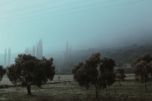 Δωρεάν στοκ φωτογραφιών με αυγή, αχλή, γήπεδο