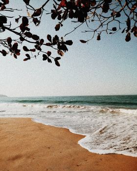 Calm beach with waves and tree branches framing the ocean view.