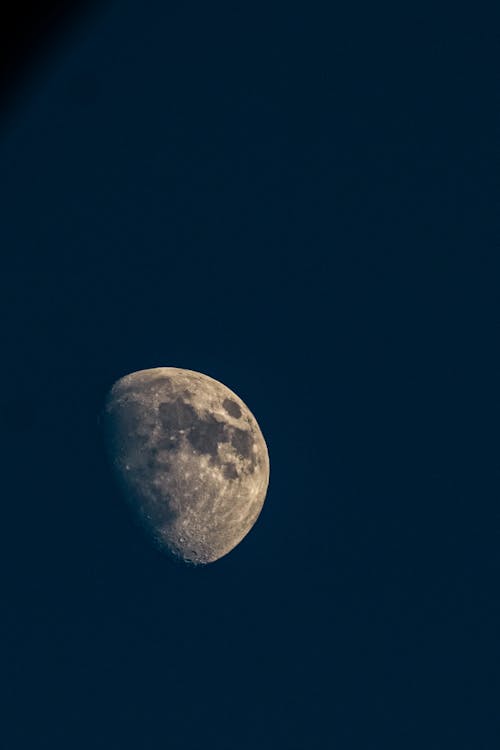 Free Half-Moon in the Sky Stock Photo