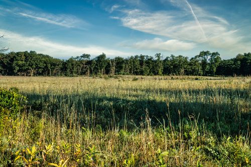 Free Serene view of Trempealeau's grasslands with clear blue skies and lush foliage. Stock Photo